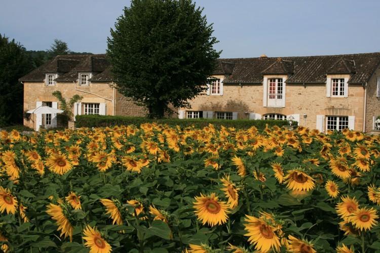 Вилла Domaine Des Hirondelles Сен-Венсан-де-Коссе Номер фото